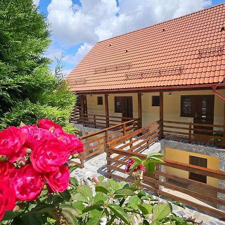 Matei Residence Brașov Exterior foto