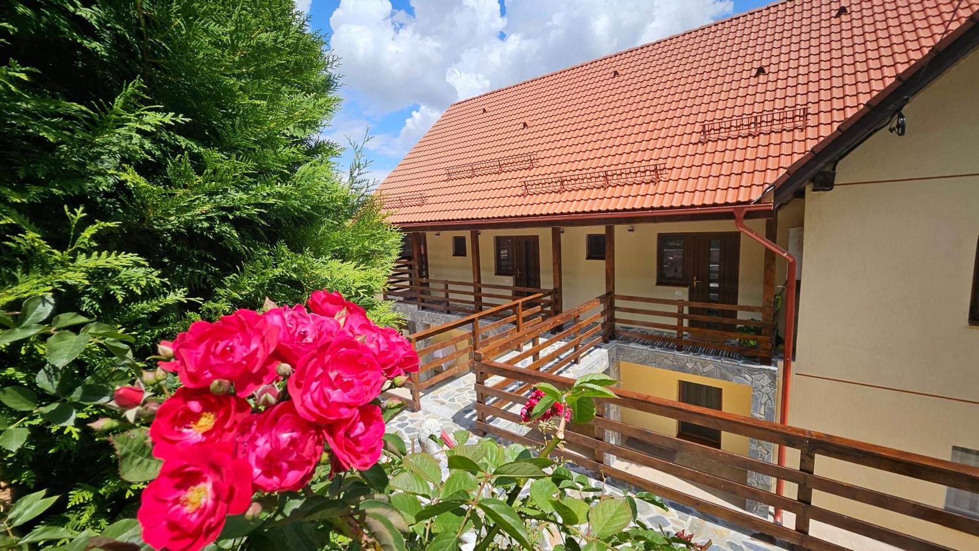 Matei Residence Brașov Exterior foto
