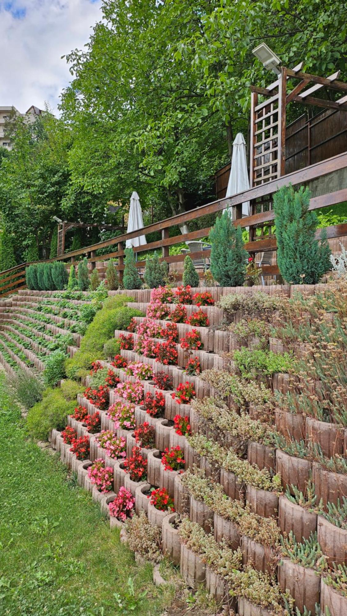 Matei Residence Brașov Exterior foto